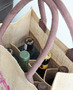6-bottle-catalog